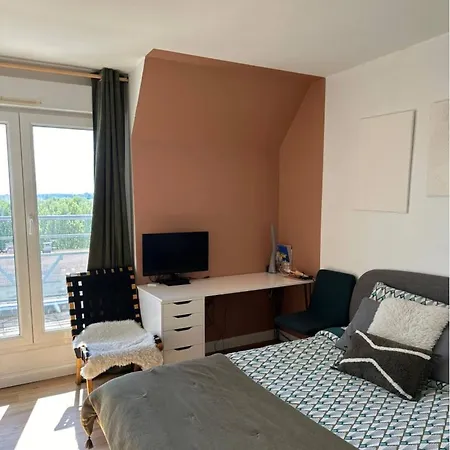 Le Duplex Avec Rooftop * Lyon