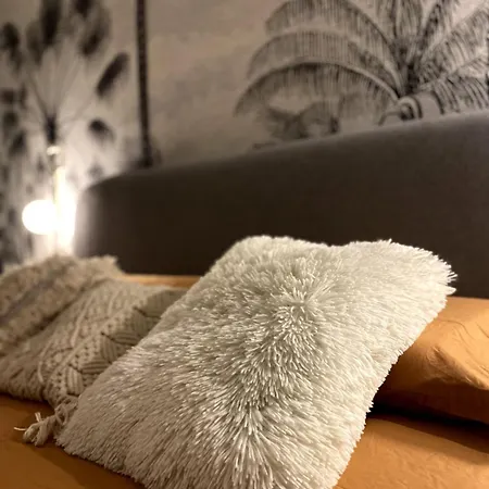Le Duplex Avec Rooftop Appartement